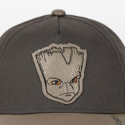 Groot (Guardians of the Galaxy) Keps